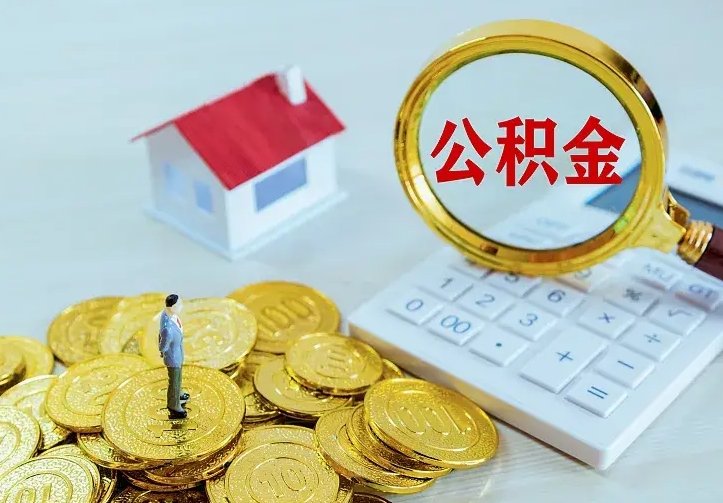 定安公积金有几种方法提取（成公积金提取）