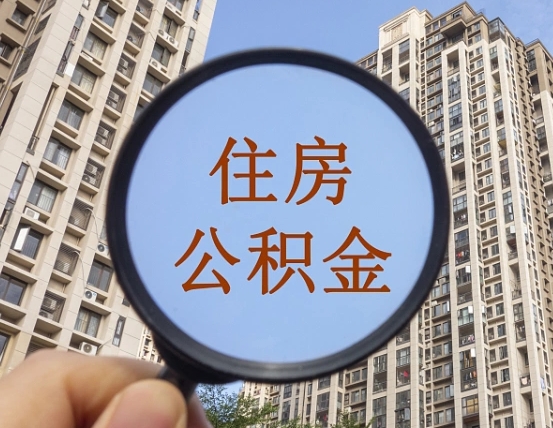 定安退休后查不到公积金明细了吗（退休后公积金查询不到原因）